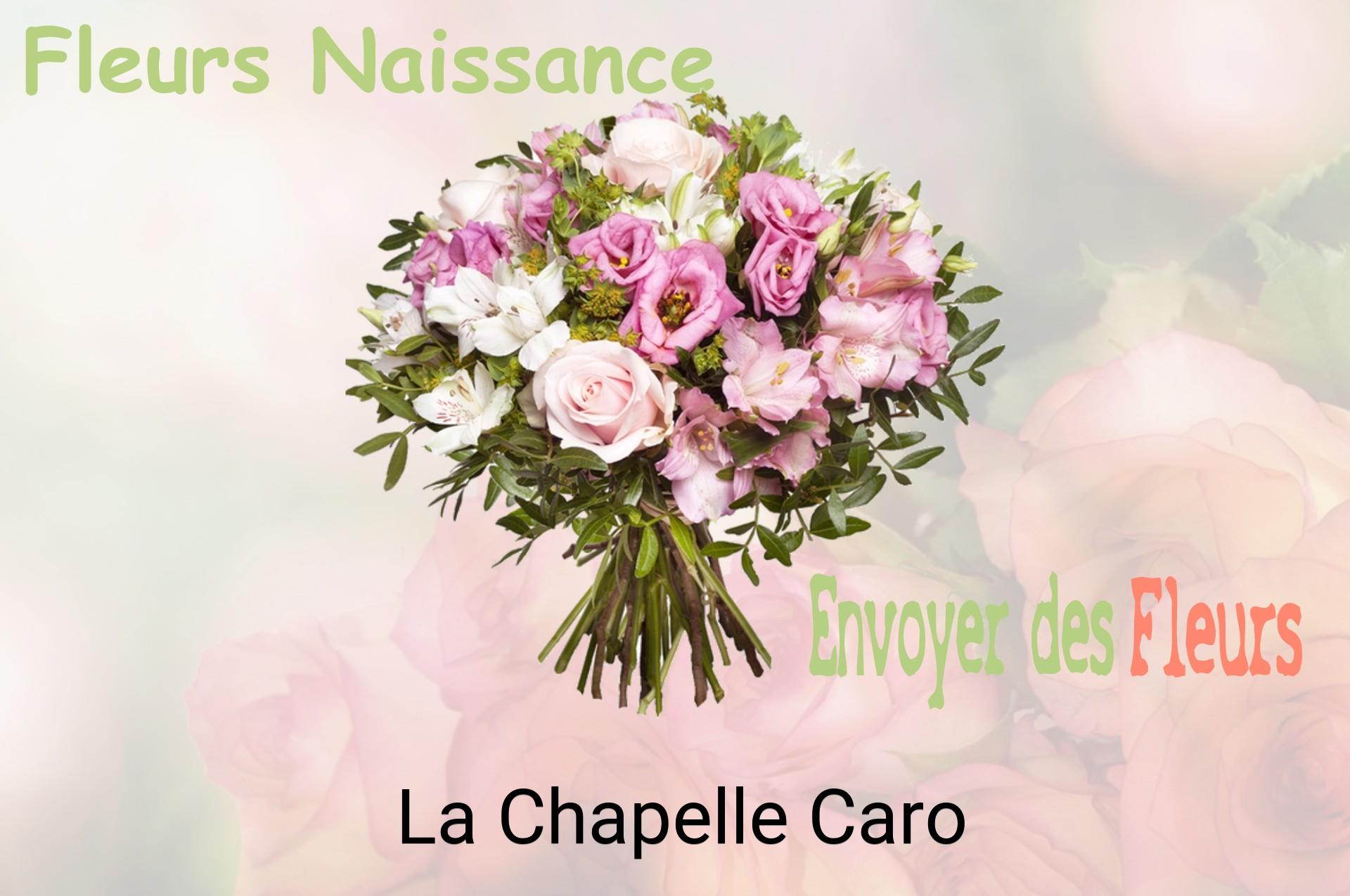 Bouquet de fleurs de naissance livré à La Chapelle-Caro